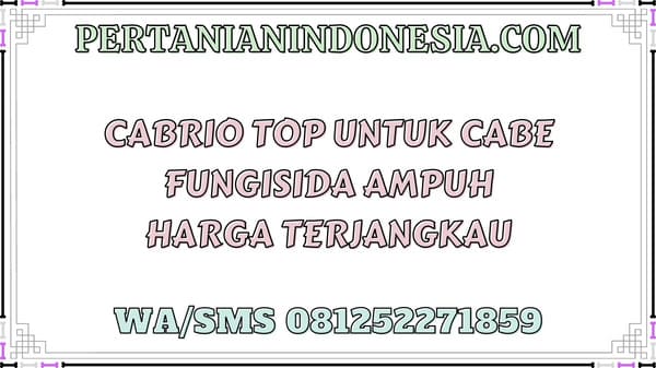 Cabrio Top Untuk Cabe Fungisida Ampuh Harga Terjangkau